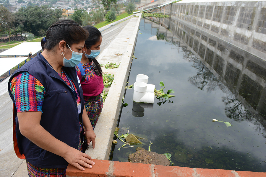 Conmemoran en Guatemala el Día del Inspector de Saneamiento Ambiental