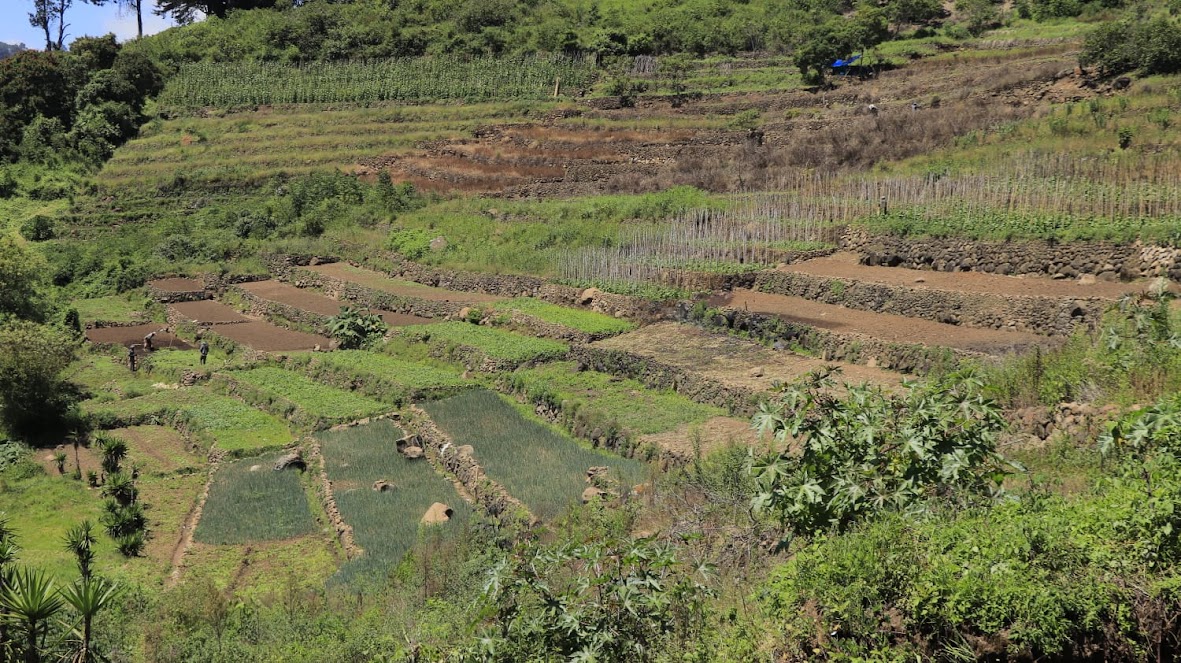 El MAGA recomienda a agricultores preparar terreno para primeras lluvias