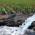 Guatemala será sede de la feria del agua más grande de Centroamérica