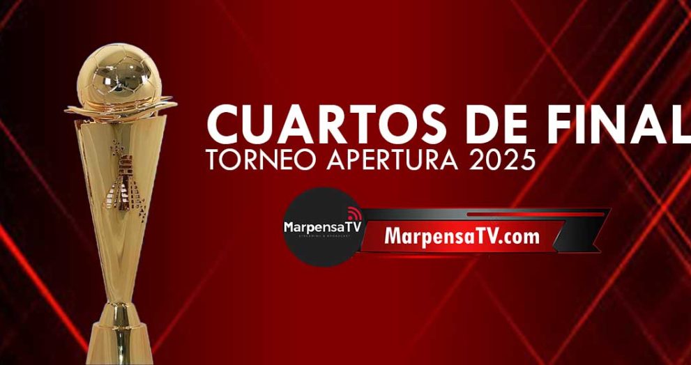 Fechas y horarios definidos en los cuartos de final de la Liga Nacional